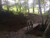 ein Bild aus dem Album